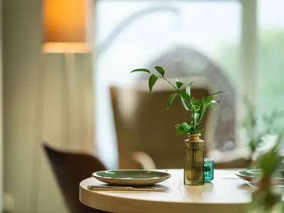 Ferienwohnung für 4 Personen (43 m²) in Titisee-Neustadt 10/10
