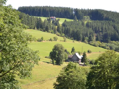 Ferienwohnung für 3 Personen (50 m²) in Titisee-Neustadt 5/10