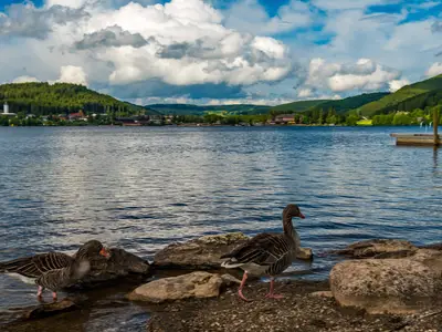 Ferienwohnung für 5 Personen (72 m²) in Titisee-Neustadt 10/10