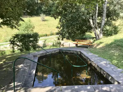 Ferienwohnung für 3 Personen (54 m²) in Titisee-Neustadt 5/10