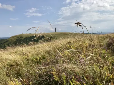 Feldberg