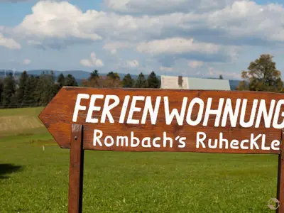 Ferienwohnung für 5 Personen (44 m²) in Titisee-Neustadt 5/10