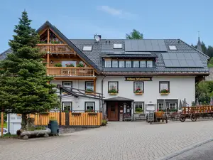 Ferienwohnung für 4 Personen (55 m²) in Titisee-Neustadt