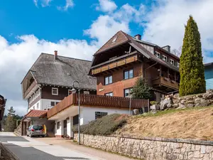 Ferienwohnung für 4 Personen (52 m²) in Titisee-Neustadt