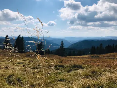 Ferienwohnung für 3 Personen (54 m²) in Titisee-Neustadt 1/10