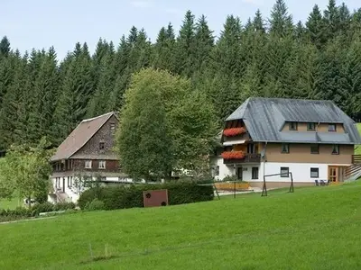 Ferienwohnung für 2 Personen (38 m²) in Titisee-Neustadt 1/10