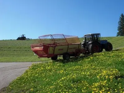Ferienwohnung für 2 Personen (38 m²) in Titisee-Neustadt 10/10