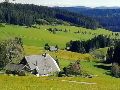 Ferienwohnung für 2 Personen (65 m²) in Titisee-Neustadt 2/10