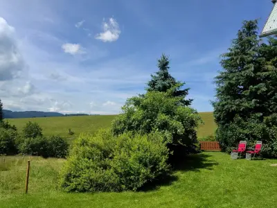 Ferienwohnung für 2 Personen (65 m²) in Titisee-Neustadt 4/10