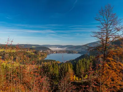 Ferienwohnung für 3 Personen (33 m²) in Titisee-Neustadt 10/10