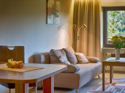 Ferienwohnung für 3 Personen (33 m²) in Titisee-Neustadt 6/10