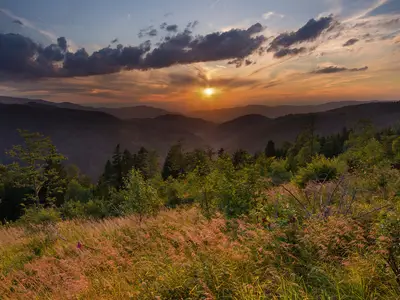 Ferienwohnung für 5 Personen (72 m²) in Titisee-Neustadt 8/10