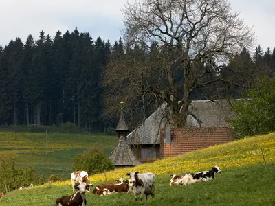Ferienwohnung für 2 Personen (27 m²) in Titisee-Neustadt 8/10