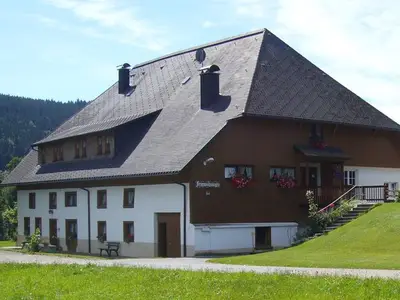 Ferienwohnung für 3 Personen (45 m²) in Titisee-Neustadt 4/10