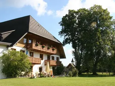 Ferienwohnung für 3 Personen (45 m²) in Titisee-Neustadt 2/10