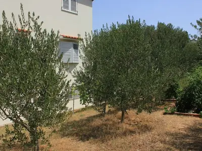Ferienwohnung für 6 Personen in Tkon 7/10