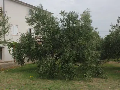 Ferienwohnung für 4 Personen in Tkon 6/10
