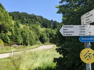 Ferienwohnung für 4 Personen (40 m²) in Todtmoos 9/10