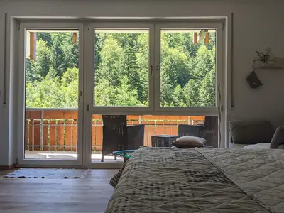 Ferienwohnung für 4 Personen (40 m²) in Todtmoos 4/10