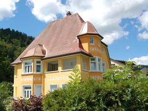 Ferienwohnung für 3 Personen (90 m&sup2;) in Todtmoos