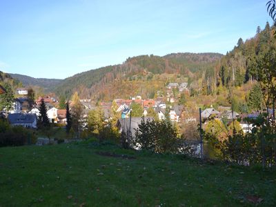 Ausblick Garten