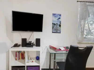 Ferienwohnung für 1 Person (22 m²) in Todtmoos 8/10