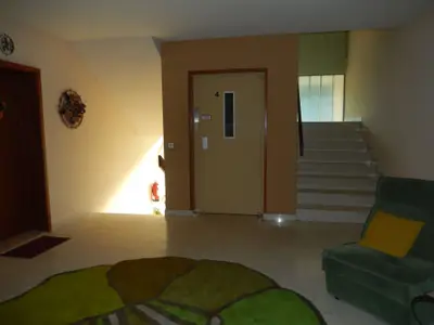 Ferienwohnung für 3 Personen (35 m²) in Todtmoos 2/10