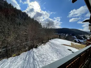 Ferienwohnung für 2 Personen in Todtmoos