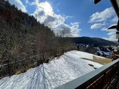 Ameisenpfad Todtmoos