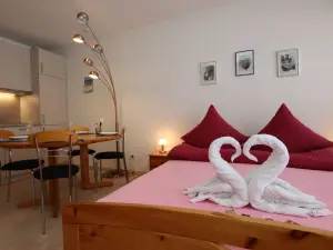 Ferienwohnung für 4 Personen in Todtmoos