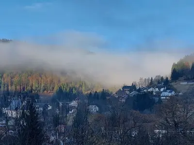 Ferienwohnung für 4 Personen (60 m²) in Todtmoos 9/9