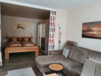 Ferienwohnung für 4 Personen (55 m²) in Todtmoos 4/10