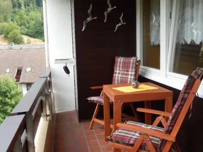 Ferienwohnung für 3 Personen (35 m²) in Todtmoos 4/10