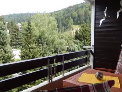 Ferienwohnung für 3 Personen (35 m²) in Todtmoos 5/10