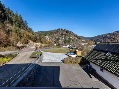 Ferienwohnung für 1 Person (20 m²) in Todtmoos 8/10