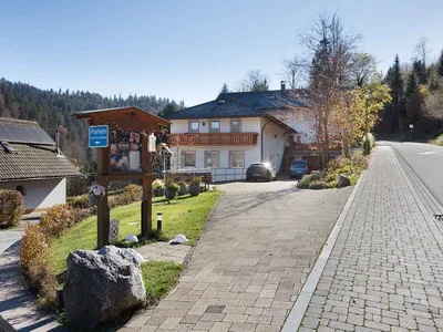 Ferienwohnung für 2 Personen (45 m²) in Todtmoos 6/10