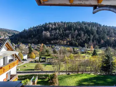 Ferienwohnung für 1 Person (20 m²) in Todtmoos 10/10