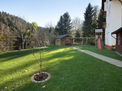 Ferienwohnung für 1 Person (19 m²) in Todtmoos 7/10