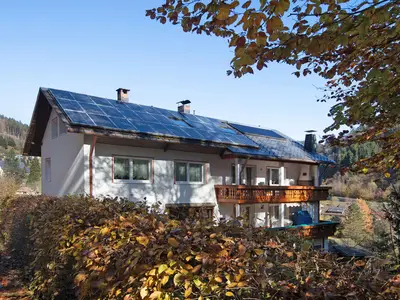 Ferienwohnung für 1 Person (20 m²) in Todtmoos 1/10