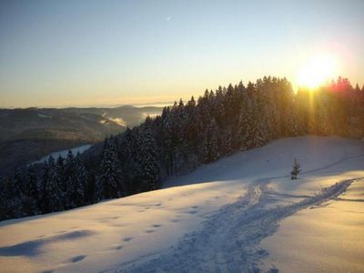 Skigebiet Feldberg und andere kleine Skigebiete in 15 min mit dem Bus oder Auto erreichbar