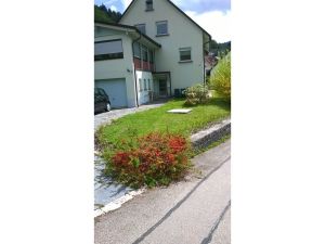 23585917-Ferienwohnung-3-Todtnau-300x225-1