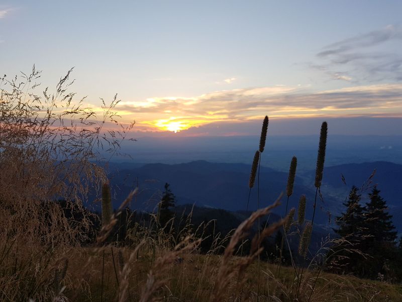 23140017-Ferienwohnung-5-Todtnau-800x600-2