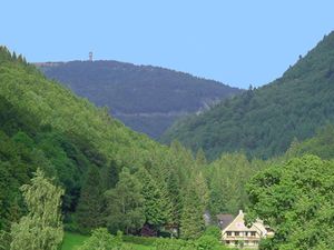 Ferienwohnung für 5 Personen (75 m²) in Todtnau