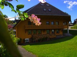 Ferienwohnung für 4 Personen (70 m&sup2;) in Todtnau