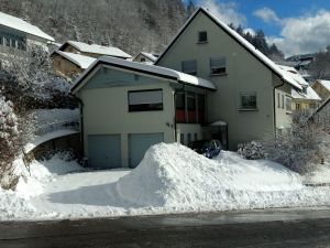 23585917-Ferienwohnung-3-Todtnau-300x225-4