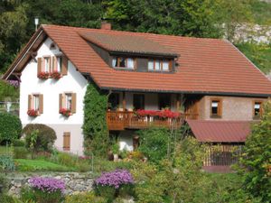 Ferienwohnung für 2 Personen (35 m&sup2;) in Todtnau