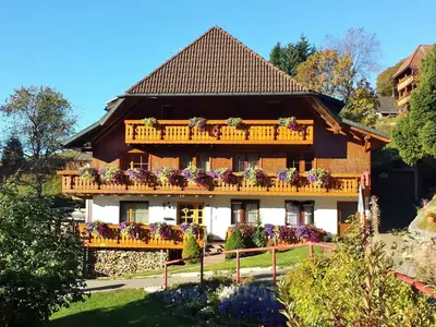 Ferienwohnung für 3 Personen (39 m²) in Todtnauberg 1/10