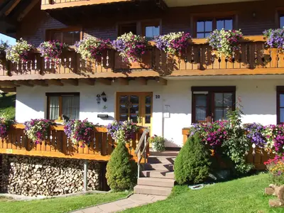 Ferienwohnung für 3 Personen (39 m²) in Todtnauberg 8/10