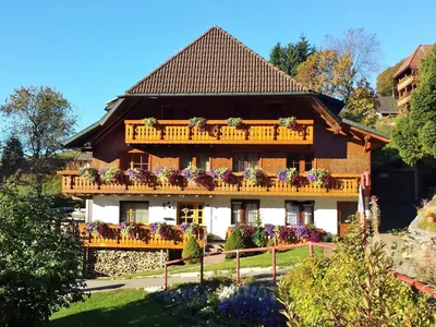 Ferienwohnung für 6 Personen (58 m²) in Todtnauberg 1/10