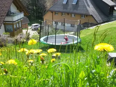 Ferienwohnung für 6 Personen (58 m²) in Todtnauberg 9/10